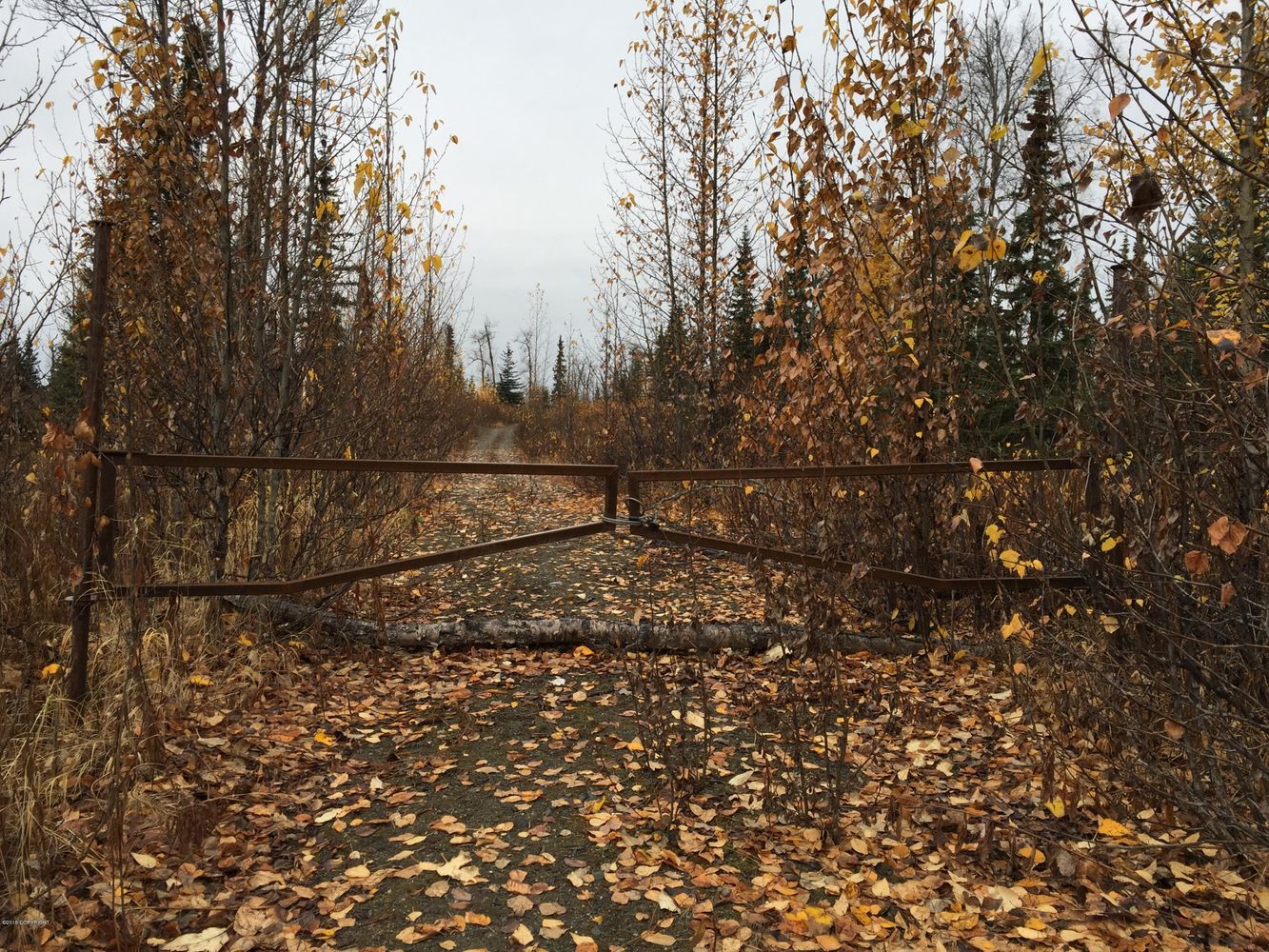 63885 Tailwind Rd, Ninilchik, AK 99639